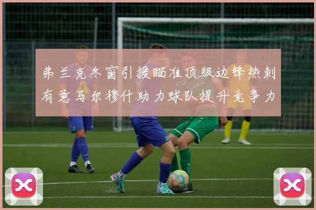 弗兰克冬窗引援瞄准顶级边锋热刺有意马尔穆什助力球队提升竞争力