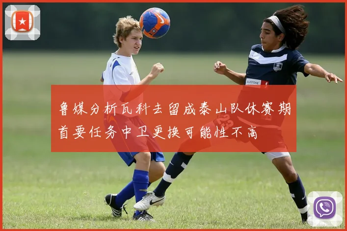 鲁媒分析瓦科去留成泰山队休赛期首要任务中卫更换可能性不高