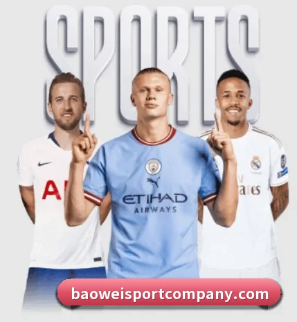 宝威体育的方向（BOWWAYSPORTS）